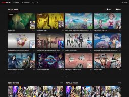 Disney Video